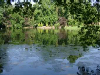 Bassin
